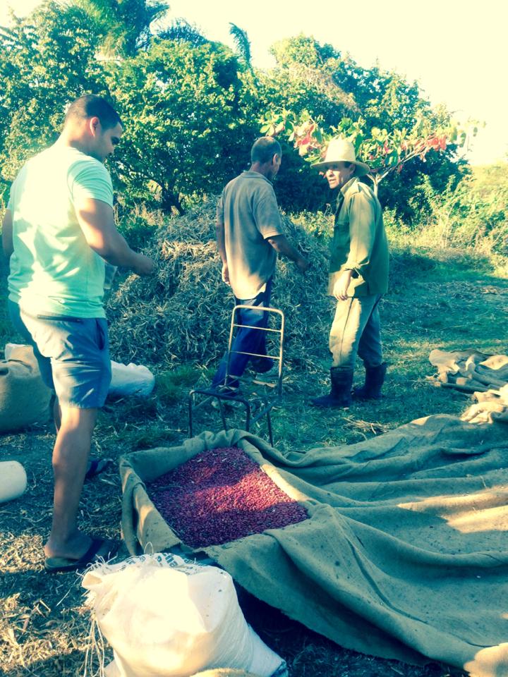 Roberto and farmers in Cienfuegos