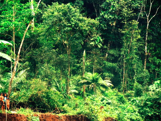 Screen Shot 2014-09-06 at 12.59.21 PM