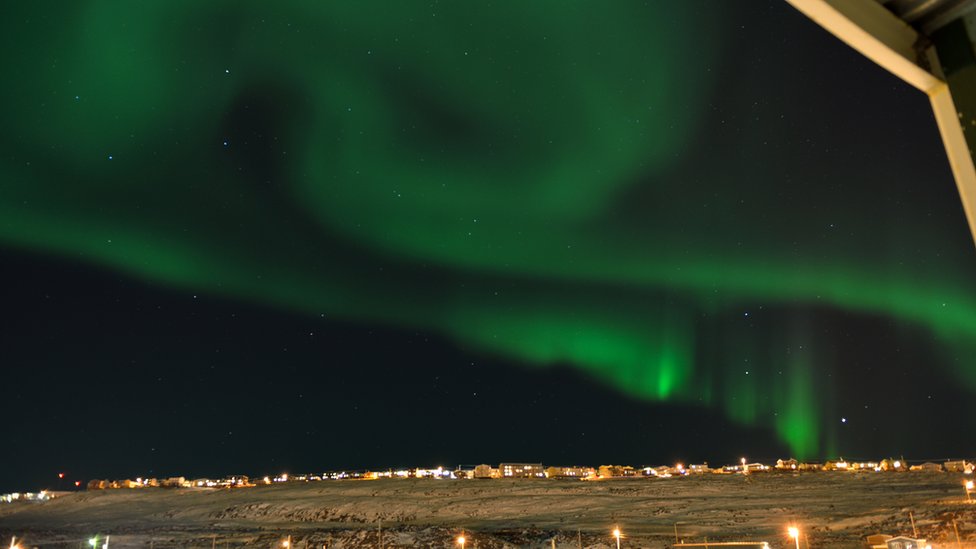 _71039855_mylesdolphin